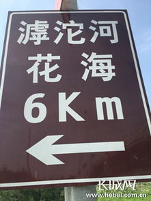 滹沱河畔百花盛開，石家莊市民賞花正當時