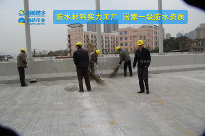 襄陽保康PBL-I聚合物道橋防水涂料市場價格解析與選購指南